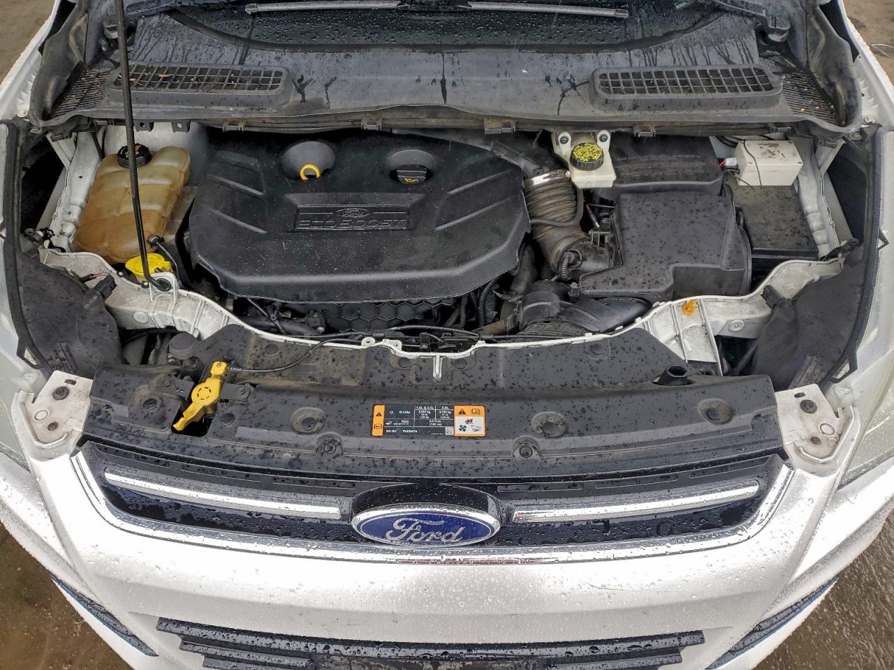 Ford Escape Titanium Image 10